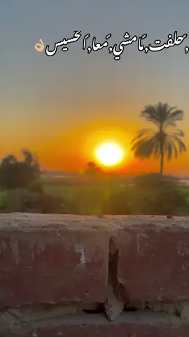 #الديب🐺 #المنيا_اسيوط_سوهاج_قناا_الاقصر_اسوان_ #جعافره_ولنا_فى_قمه_المجد_رايات515✌🏾🚫 #خيل_عربي_اصيل #الصعيد_يا_دولة 