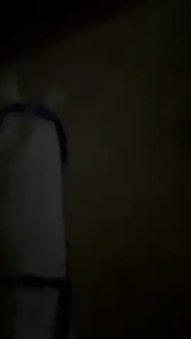 #هواجيس #خيل 