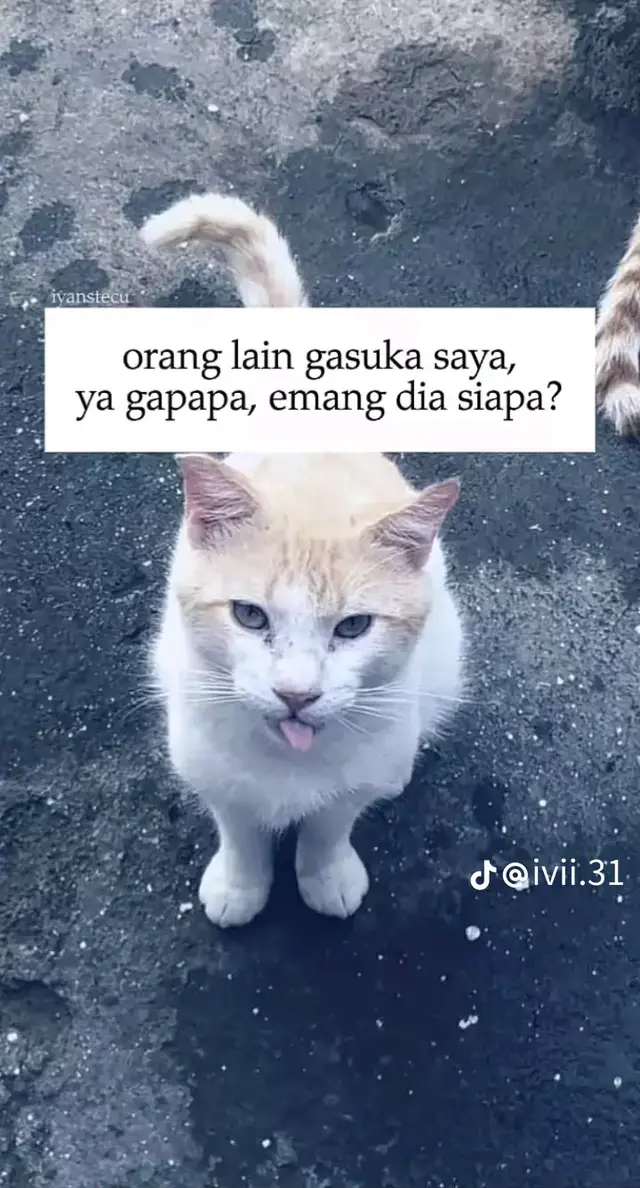 gak boleh ngatur ahh da bukan siapa siapa gww#fypppppppppppppppppppppppppppppp #fypシ゚ #4u #gaksukaskip📵aja 