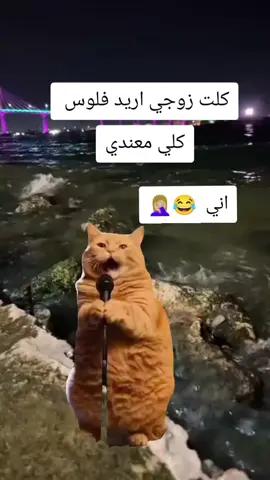 #شعب_الصيني_ماله_حل #شعب_الصيني_ماله_حل😂😂 #ولايك #متابعه 