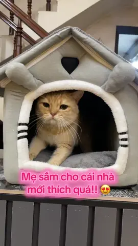 Nhà đệm ngủ cho cún mèo #đệmchochómèo 