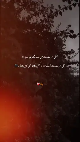جتنی حسرت سے میں نے تمہیں چاہا ہے ❤️‍🩹🍂💫 ۔ ۔ ۔ ۔ ۔ ۔ ۔#fypシ゚ #viwesproblem #fypage 