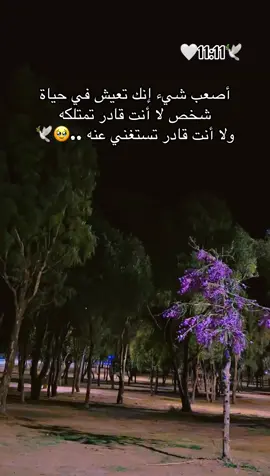 أصعب شيء إنك تعيش في حياة شخص ..🥹🕊️ #🌹🌹🌹🌹🌹🌹🌹🌹🌹🌹🌹🌹 #الحب #حبيبي #احبكم  #المشكى_على_الله                                         