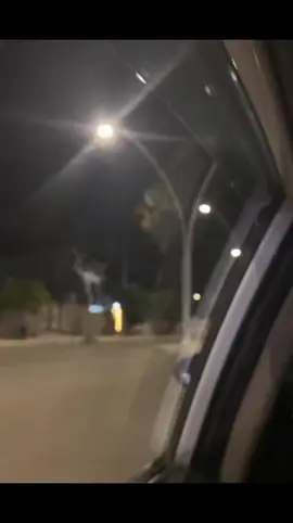 #الانبار_الرمادي #شموخ_عز_الانبار #🙈🙊  #البوفهد_وعز_البوفهد🔥⚔️ #مشاهير_تيك_توك 