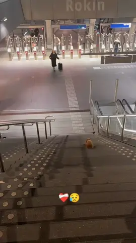 This is why I can’t wait to come home every day❤️ #dog #doglover #cute #dogsoftiktok #fyp 