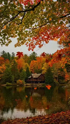 لما غبت حسيت إني ولا شي محد انتبه لغيابي.... . . . . .. #عبارت #متابعه #ليك #fyp #تعليق 