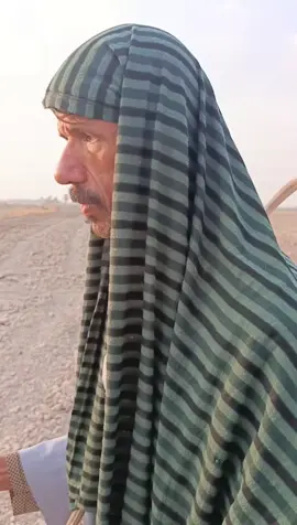 #ديوانيه #شعب_الصيني_ماله_حل😂😂 #قضاءالشامية #مشاهير_تيك_توك #بلانه_كيمنك 