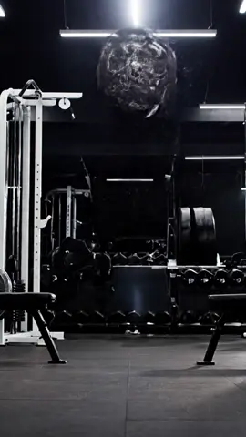 gym series  #viralreels #viralvideos #unfreezemyacount #foruyou #dog 