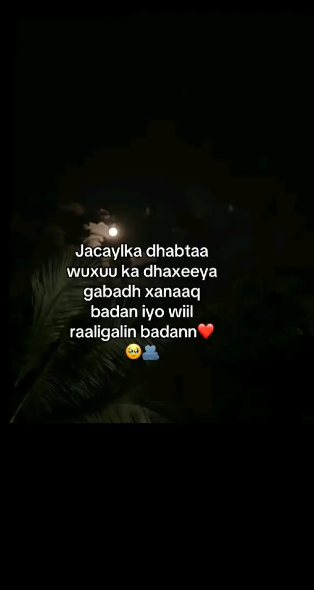 #fypシ゚ #veiwsproblem #drsboss🥺🦋 #smilly😇 #queen👸🏽 @{🤴🏼A͎+H͎👸🏼=❤️} 