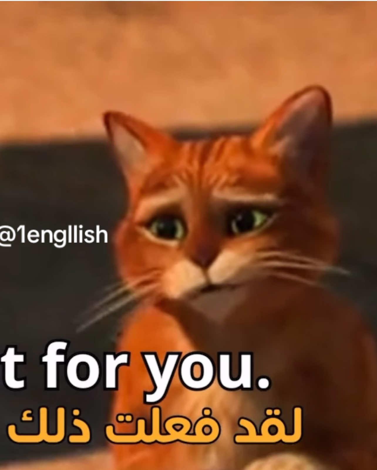 جملة اليوم 🎬                                              #تعلم_الانجليزية #تعلم_الانجليزية_من_الافلام #انجليزي #english #الانجليزية_للمبتدئين 