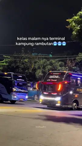 full pemain sumatera😎 #alhijrah #palalabus #ansbus #sumbarstyle #bussumbar 