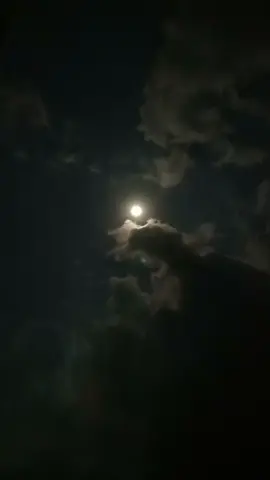 selamat malam selamat beristirahat