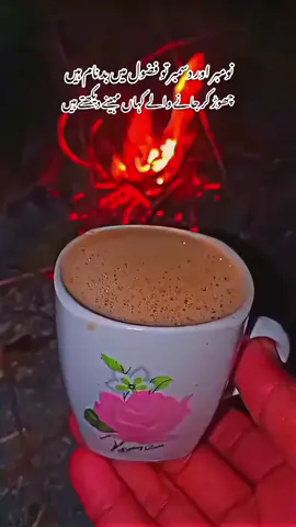 #fypシ゚viral #viowsproblam #pleasufreezmyacount #niazi333 #چائےاورمحبت 