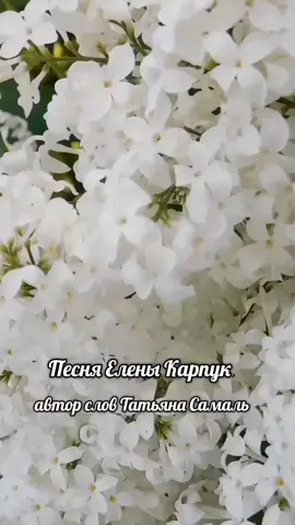 #берегитедругдруга 