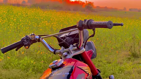 #125 #pindaaly #fypシ #shabiمرزےآلہ👑 #500kviews 