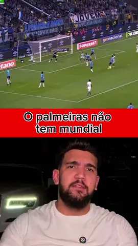 Chupa palmeiras @Clipfy League @Ayrton Brito #palmeiras #futebol #viraltiktok #fyppppppppppppppppppppppp #viralclips 