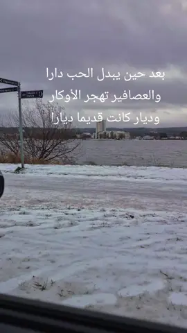 مساء الخير  #تصويري #تصميمي🎬 #فولو🙏🏻لايك❤️اكسبلور🙏🏻🌹💫 #تيك_توك #ام كلثوم -لمياء جمال -هذه ليلتي