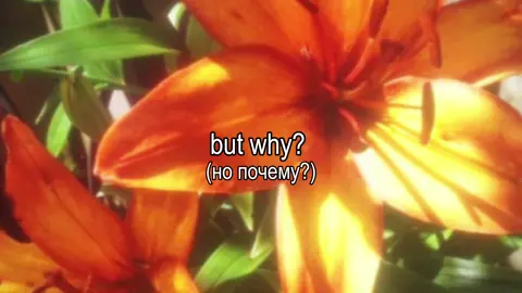 #lyriks #переводпесни #guyexe 