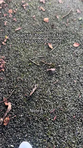 @Lacoste ça croustille bien avec les spinors 😏🐊