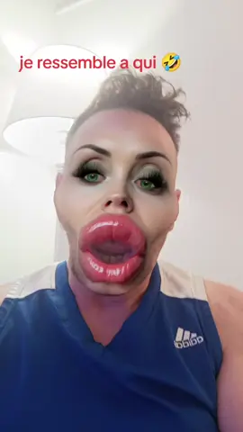 je ressemble a qui ?  #tiktokfrance #partage #pourtoi 