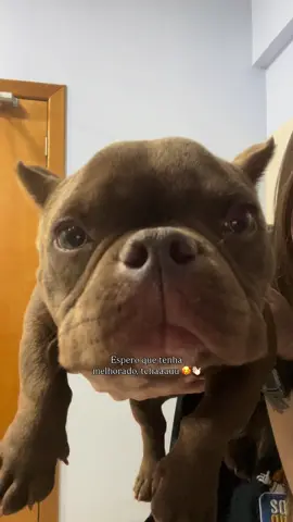 Laguna veio melhorar seu dia 🤎 #fyp #foryou #medvet 