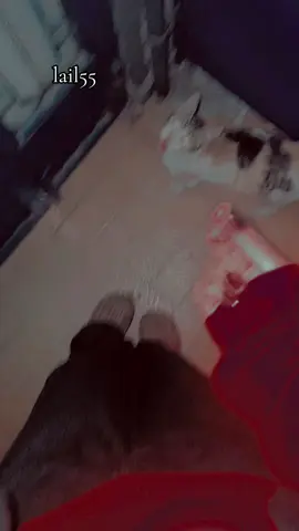 😼😂❤️‍🔥🇸🇾🥷🌷🥹💋#fyp🥹シ゚viral🖤tiktok #gghggggggggggggggggggggggggggggg 