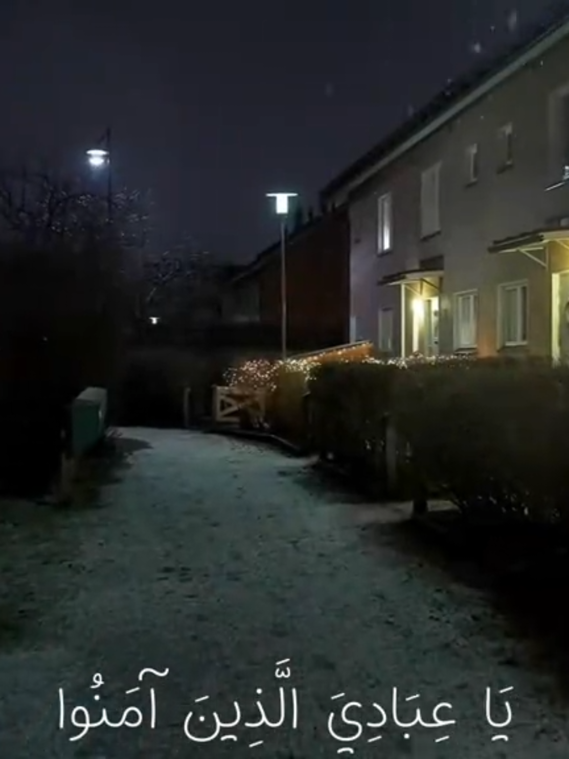 يا عبادي الذين امنوا 🤍 #محمد_ديبيروف #قران #quran 