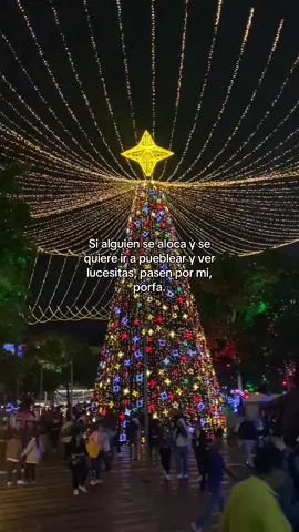 Por favor 🫶🏼 #diciembre #pueblitos #colombia #lucesnavideñas 