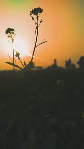 چُپ نہ رہتے بیان ہوجاتے تجھ سے گر بدگُمان ہوجاتے  ضبط غم نے بچا لیا ورنہ ہم کوئی داستان ہوجاتے