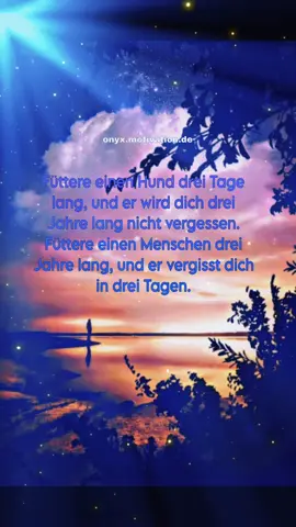 Für mehr Sprüche und Zitate,  gerne folgen. :) . . . Hashtags  #persönlichkeitsentwicklung #motivation #erfolg #mindset #inspiration 