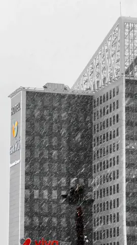 #setif #alg #algeria #شعب_الصيني_ماله_حل😂😂 #الجزائر 