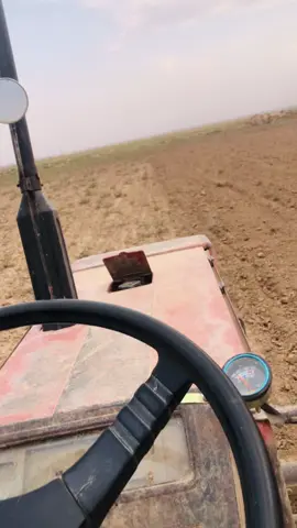 #كركوك_الحبيبه❤️🌜 #هشتاقاتي_الترند_المشهور #تكريت_صلاح_الدين 