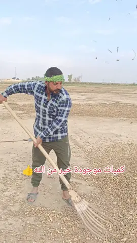 #الفلاح #العراقي #فستق #شعب_الصيني_ماله_حل😂😂 #مشاركة 