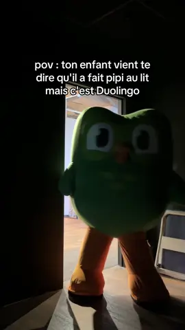 @matthiasletrocquer tu m'inspires #duolingo #trend 