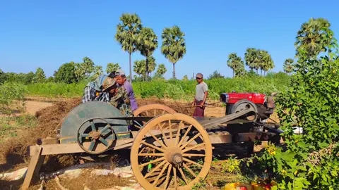#တောမှာမွေးတဲ့တောသားလေးမို့တောမှာပဲပျော်တယ်ဗျာ😍♥️🥰#မြိုင်နယ်အရှေ့ပိုင်းသားလေး 