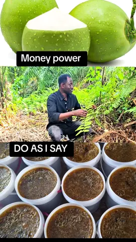 Do As I Say #itv #utopia #zionflex #commedy #gtvnews 