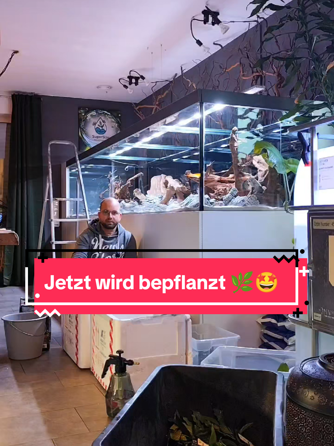 Jetzt kommt endlich Leben ins 3000l Aquarium🌿. Ehrlich gesagt bin ich einfach nur froh dass ich das hinter mir habe 💪🏼 Die Pflanzen von Aquafleur sind einfach nur Top🤩 #planting #aquaplants #aquarist #fishtoks #aquarium 