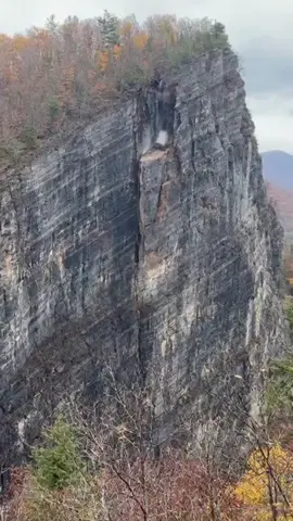 #عصام_حمود_آل_مهدي 