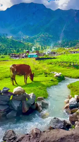 #الذي_خلقني_فهو_يهدين❤🤲🏻 #سعود_الفايز_تلاوات_خاشعه_الطبيعه_الخلابه #اجمل_مناظر_طبيعية_خلابه_ساحره_في_العالم_سويسرا_النرويج_ايسلند #المناظر_الطبيعيه_الخلابه #راحه_نفسيه🖤🎧 