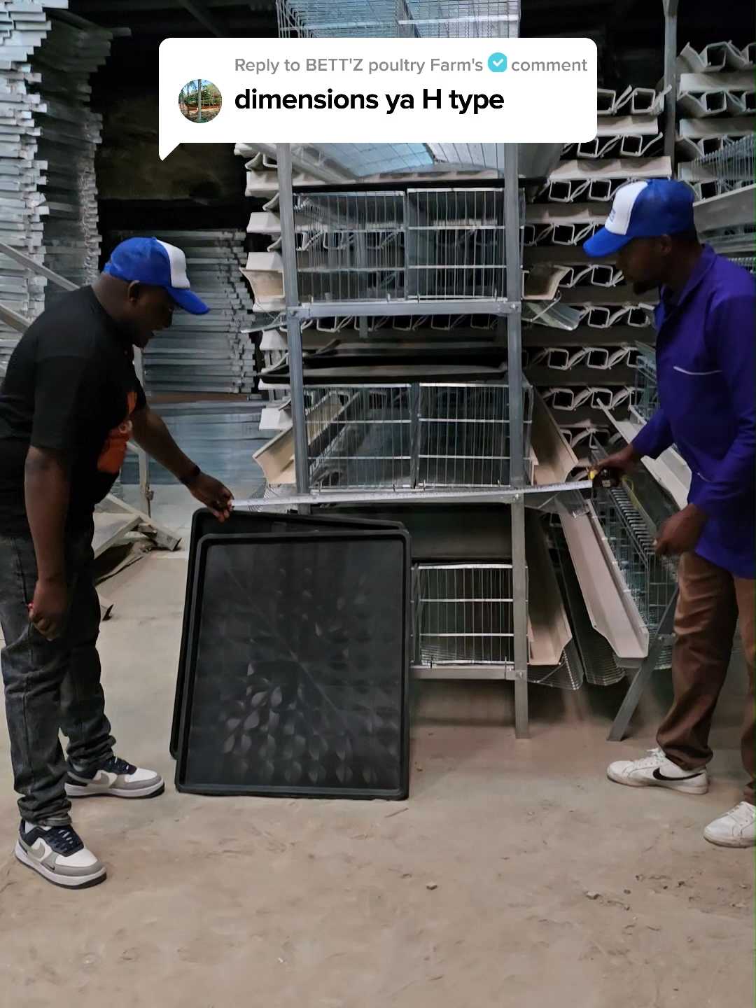 replying to @betts035  here are the dimensions of both H- type cages and A- type cage. order galvanized chicken cages form Eco Kuku by simply calling 0710 905 696 delivery is charged but installation is free you can visit our office for consultation (100% free) located in Nairobi, along Outer-ring road in Kariobangi, tall building next to Kiamaiko Bus stop. #replyingtocomments #poultry #replyingtocomments #poultryfarming #kilimo #chickencage #cages#fyppppppppppppppppppppppp #kenyantiktok🇰🇪