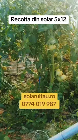 Solar complet echipat  www.solarultau.ro  0774 019 987  #legume #viatalatara #solarultau #solargradina #forupage 
