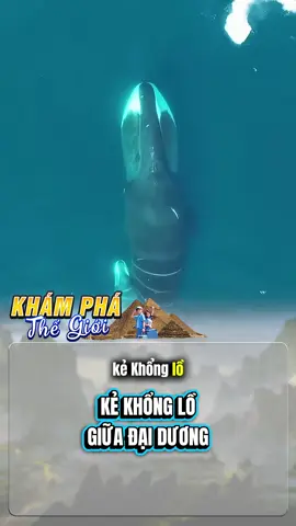 Kẻ khổng lồ đại dương #khamphathegioi #fyp #dongvat #animals #animales 