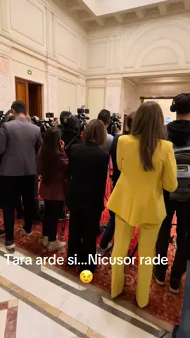 #foryou #NicusorDan #fyp #fyviral #Parlament 
