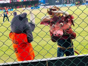 Biratnagar kings vs Citwan Rionos ❤️#npl#fyp 