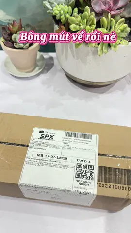 Bông Mút Trang Điểm Puppy Amortals, Thiết Kế Xinh Xắn, Bông Mút Đầy Đặn Dễ Tán, Hạn Chế Hút Kem Nền, Đánh Nền Căng Mướt##mypham##bongmuttrangdiem##koluytin