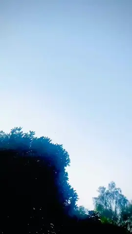 🙌🚩 Trending Song 🙌🚩 #trending #@🦁☝️Taiger🦁☝️ @K A L N A Y A K @Islamik video #vellamunda #viral?videotiktok😇😇1mellean #atifaslam #sahiljutt018 