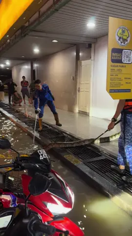 Ular depan maybank kangar 🐍 #banjir #perlis 