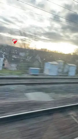 #شعب_الصيني_ماله_حل😂😂  @Tranquillo 🇩🇿🇫🇷 