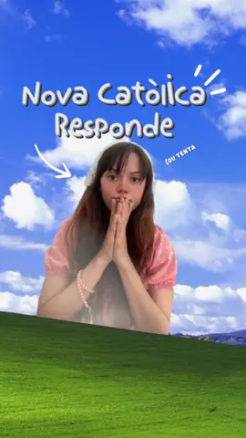 Bíblia Católica | Igreja Católica | Cânon | Sola scriptura | Papa Gostaram do novo formato? #fyyyyyyyyyyyyyyyy #vaiprofycaramba #catolica #🇻🇦 #catolicismo 