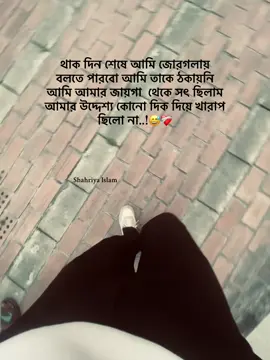 আমি সত্যি সৎ ছিলাম..!🙂❤️‍🩹#foryou #viral #tiktok #tiktokbangladesh 